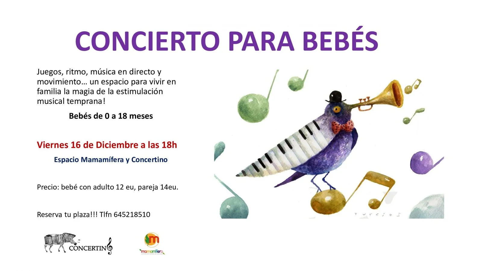 Concertino, actividades de 2016-2017 (5)