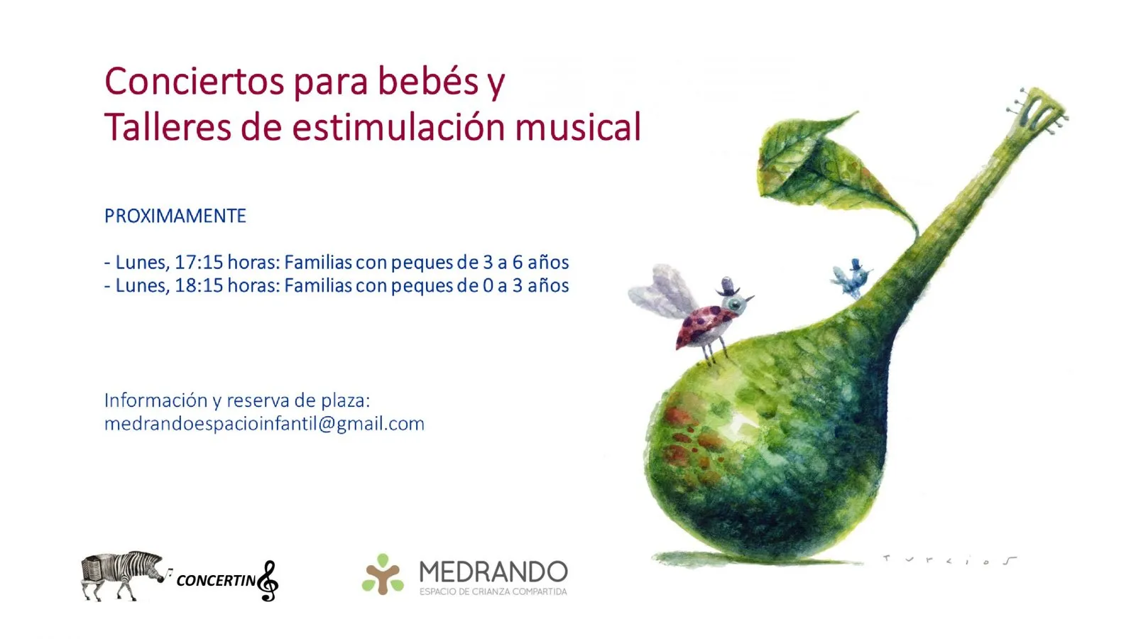 Concertino, actividades de 2016-2017 (6)