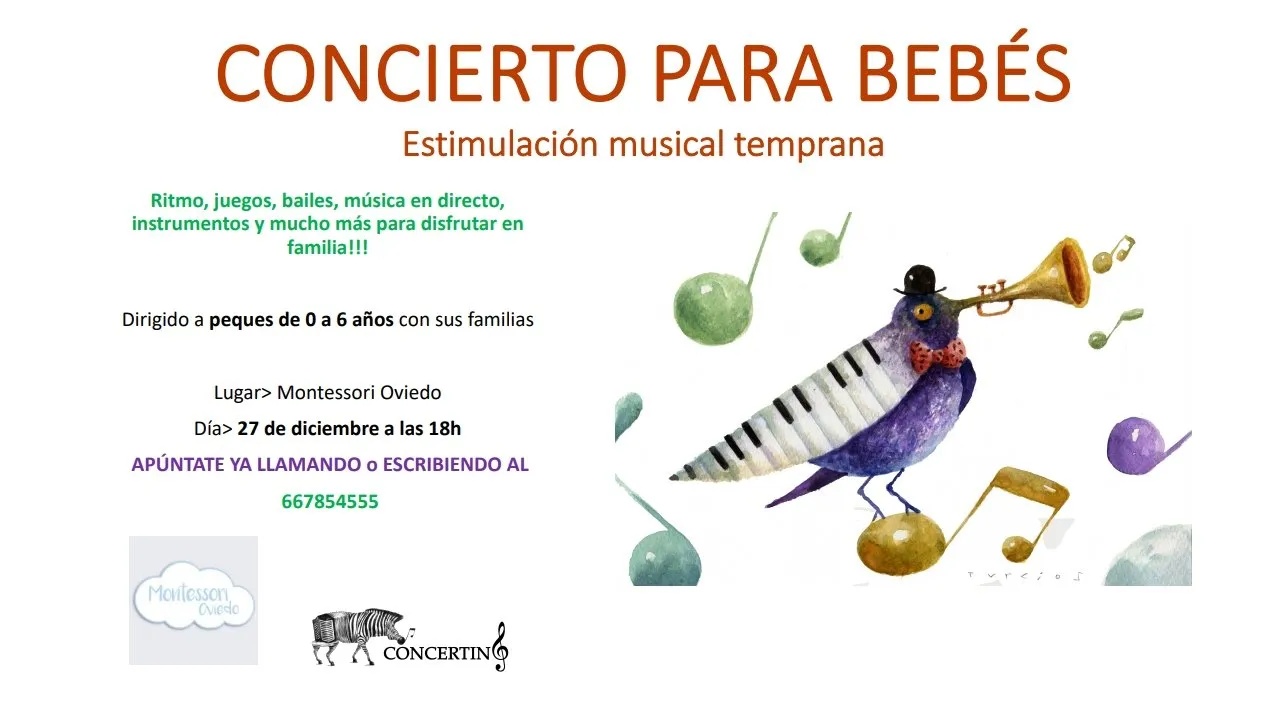 Concertino, actividades de 2019 (5)